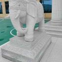 沧州 白麻花岗岩动物异形石雕-大象