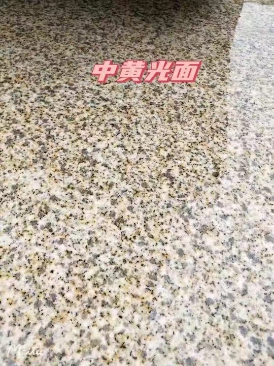沧州黄金麻中黄光面