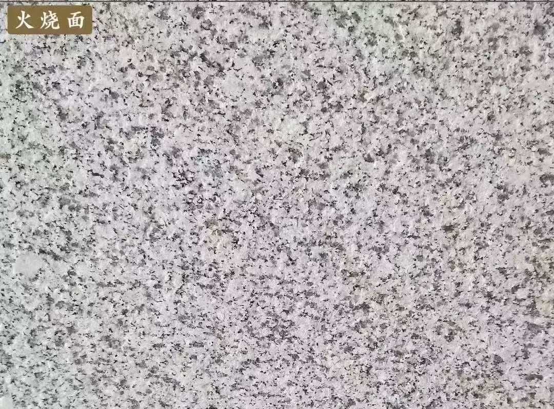 沧州白麻火烧面