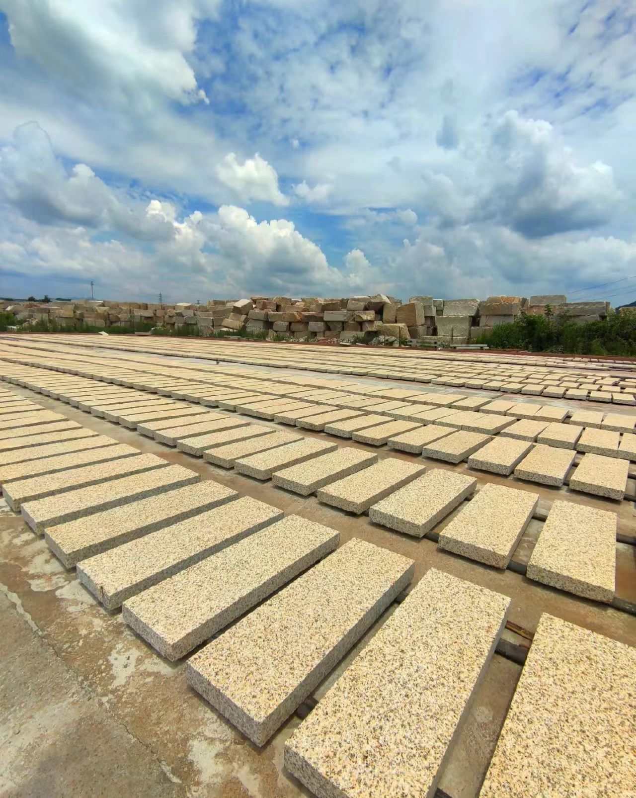 沧州 黄金麻花岗岩荔枝面地铺石防护中