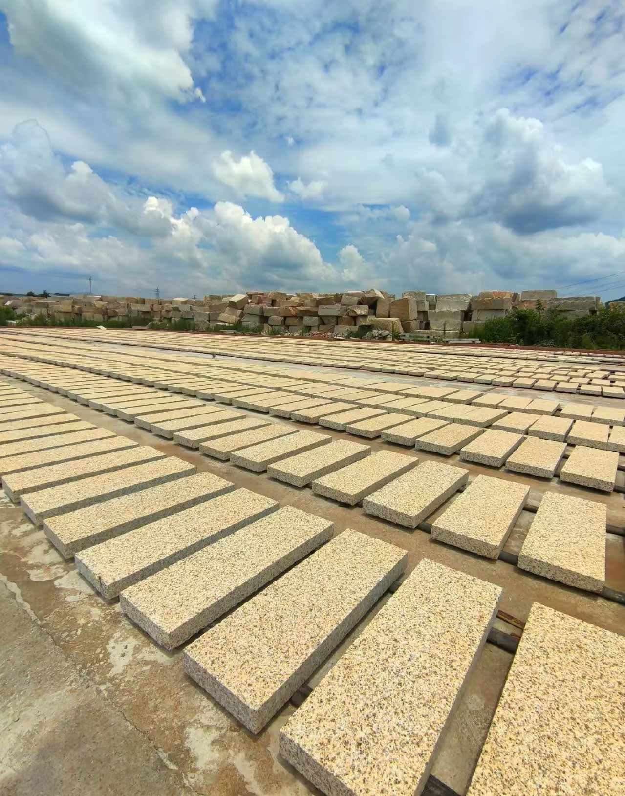 沧州 黄金麻荔枝面花岗岩石材地铺石防护中